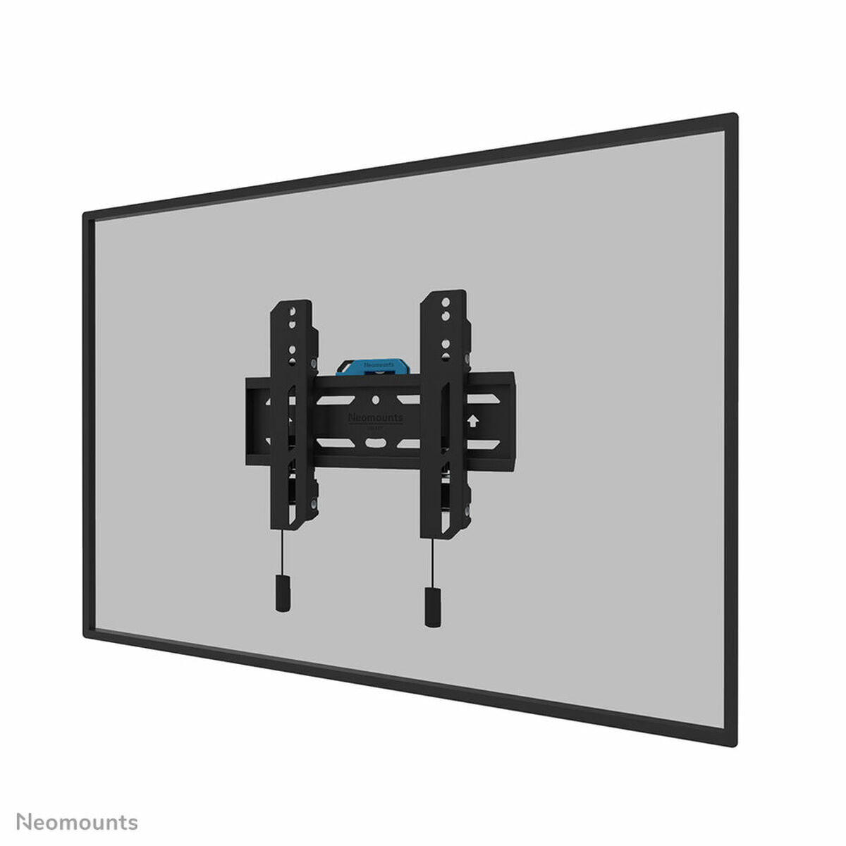 Quicky's Product Image
