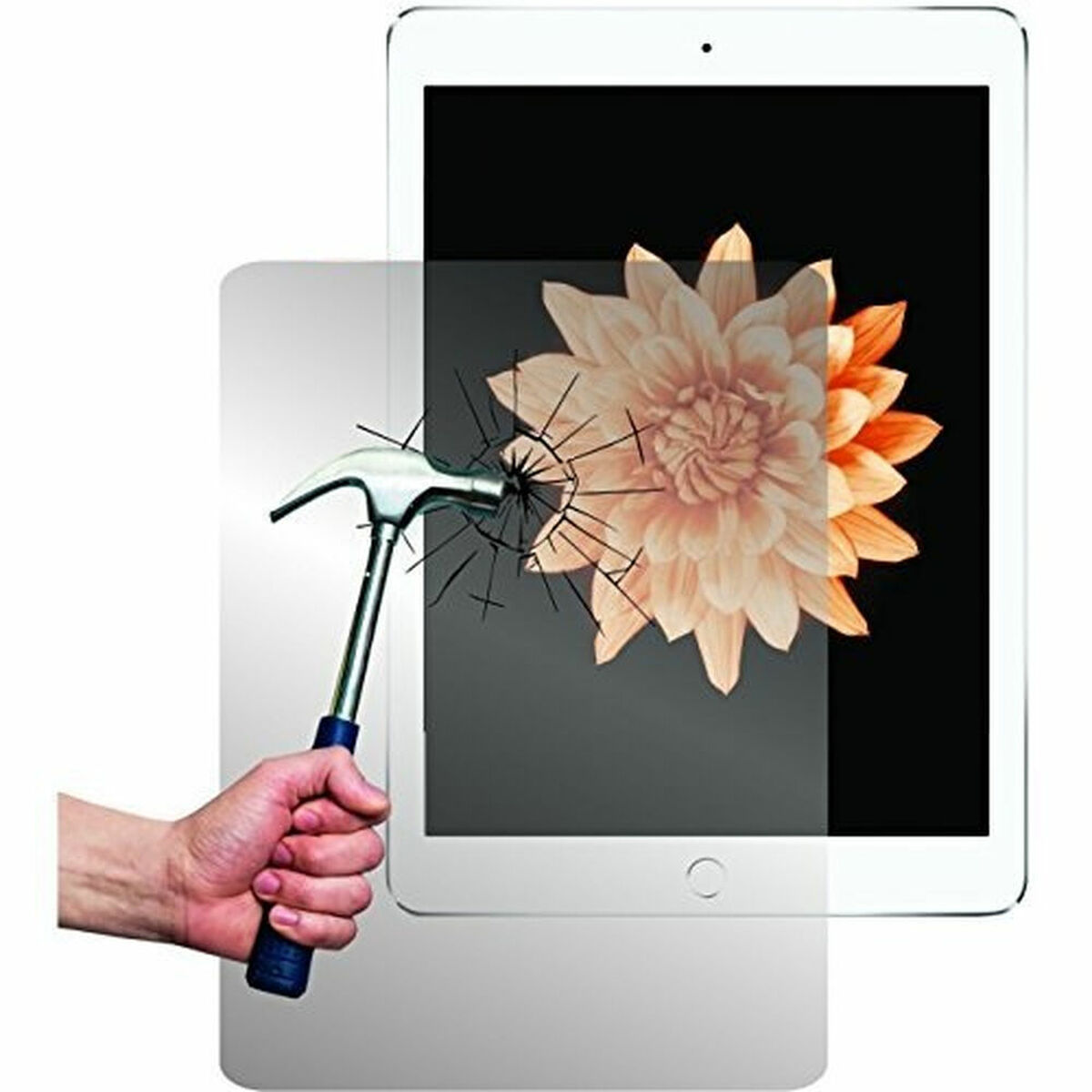 Quicky's Product Image